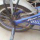 cycle for sale