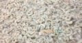 Export quality frozen prawns available Rs1,500