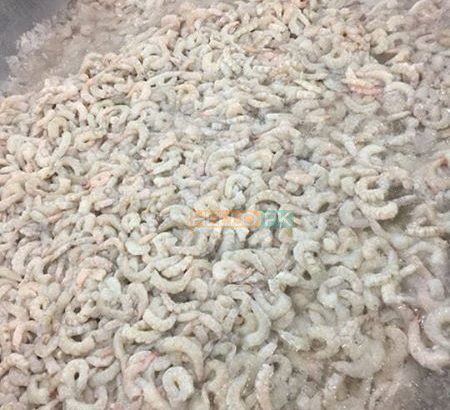 Export quality frozen prawns available Rs1,500