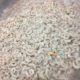 Export quality frozen prawns available Rs1,500