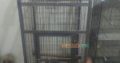Cages for sale
