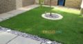 Artificial Grass