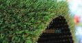 Artificial Grass
