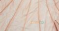 Ready to Wear Beautiful Pink Frock Rs6,500 Lahore, Pakistan