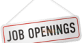 Senior Software Developer