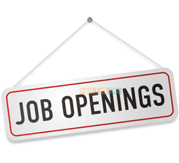 Senior Software Developer