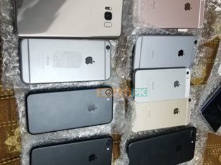 APPLE STOCK ORG 100% Cell V Sell