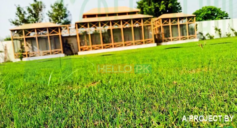 Green Team Landscaping And Pools , ISB