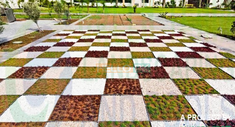 Green Team Landscaping And Pools , ISB