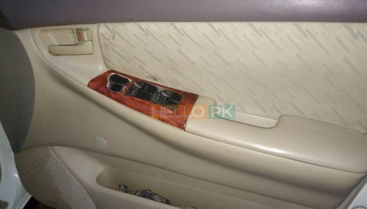 Car 2008 full janian. xli white colour good condition