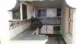 House 4.5 Marla , New Aslam Town , Rahim Yar Khan