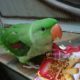 Raw Parrot Patha , Lahore
