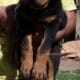 Rottweiler femal 2 month