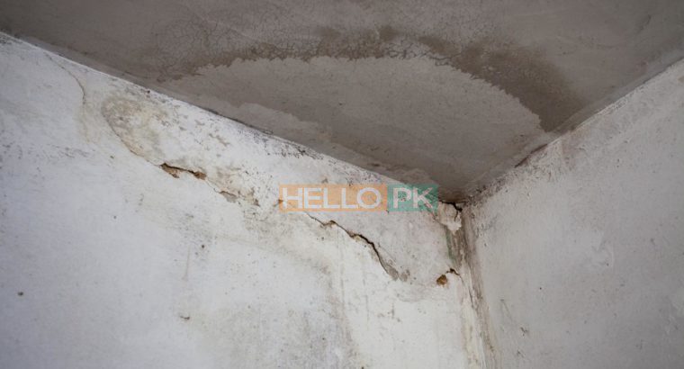 100% Guarantee General Fumigation