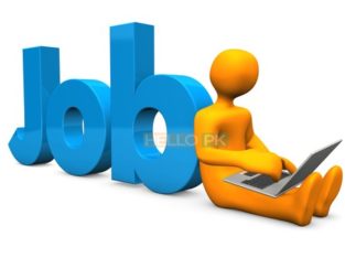 We are looking for a creative Motion Graphic Designer