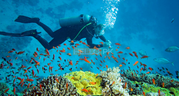 Picnic Sonara beach Charna iland & farm house,scuba diving