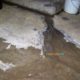 Water leakage solution , heat proofing , karachi