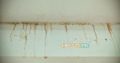 Water leakage solution , heat proofing , karachi