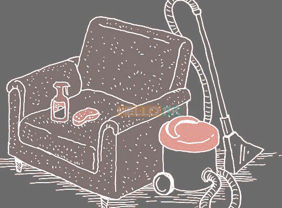 Carpet Sofa Cleaning professional services