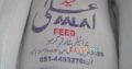 Khushhal Feed & Farms For Poultry Feed