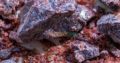 Kala namak, black salt , dustiyab hay supreme quality