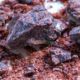 Kala namak, black salt , dustiyab hay supreme quality