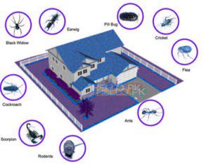 Fumigation, Pest Control, Deemak, Khatmal, Lalbaig
