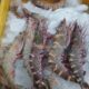 Fresh Seafood at your doorstep | Export Quality