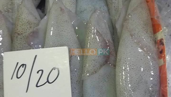 Fresh Seafood at your doorstep | Export Quality