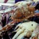 Fresh Seafood at your doorstep | Export Quality