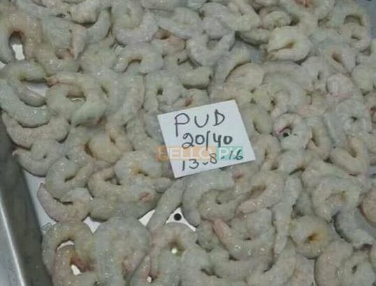 Fresh Seafood at your doorstep | Export Quality
