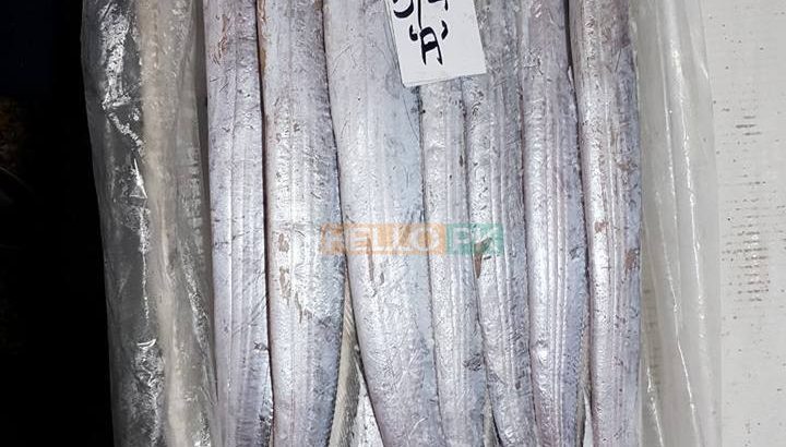 Fresh Seafood at your doorstep | Export Quality