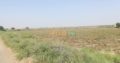 31 acres Land on national highway near Gujjo city.