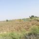 31 acres Land on national highway near Gujjo city.