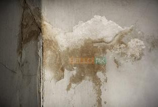 Seven sky fumigation & services with 100% Guaranteed Work