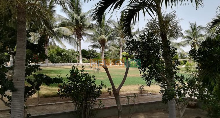 Beautiful Farm house | 2.5 acres | with new bungalow.amazing environment