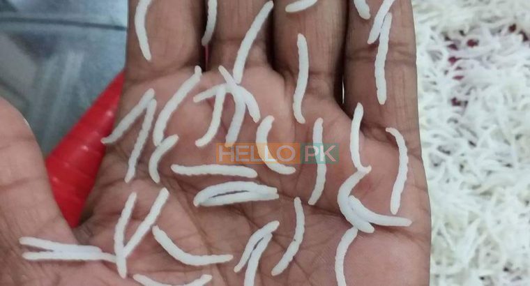 1121 Special sela Rice ( CHAWAL ) best quality for sale Contact us.