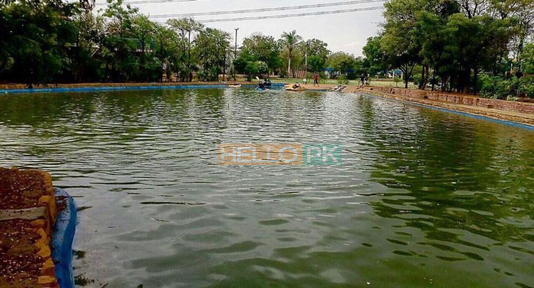 Lets plan a Picnic Family Gathering Corporate Event at Countryside Chalet Resort