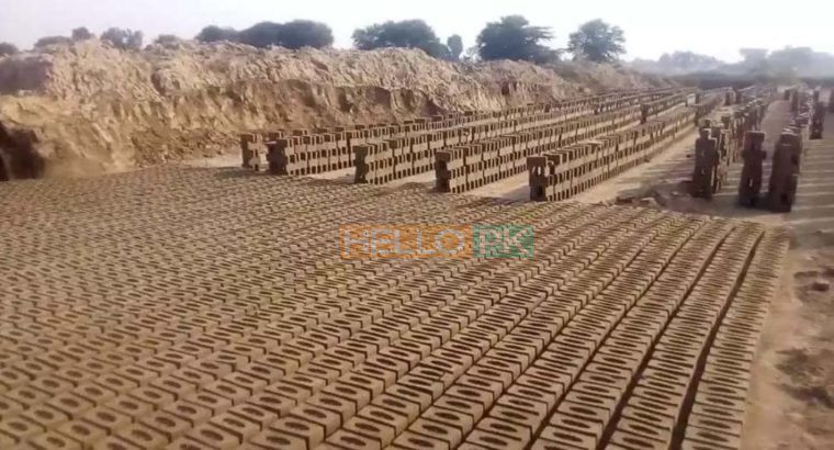 Best quality Bricks Company Hole Sale Dealer. Rai Ismaeel & Son’s