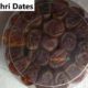 Imported Ajwa Khajoor-Mabroom-Mashroom-Rabia- Kalmi Dates in Wholesale Price (Free gift packing + FREE DELIVERY)