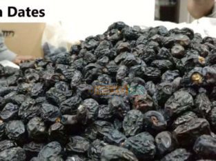 Imported Ajwa Khajoor-Mabroom-Mashroom-Rabia- Kalmi Dates in Wholesale Price (Free gift packing + FREE DELIVERY)