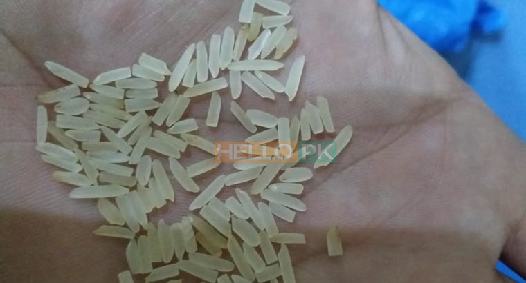 1121 sella ki short grain sortex vip 100% puer mal available