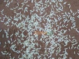 1121 sella ki short grain sortex vip 100% puer mal available