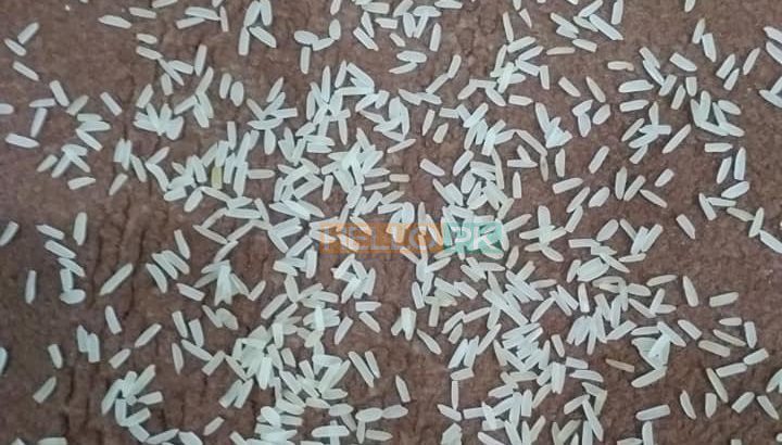 1121 sella ki short grain sortex vip 100% puer mal available