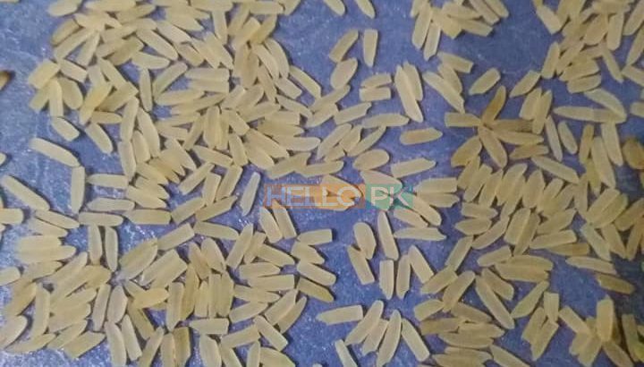 1121 sella ki short grain sortex vip 100% puer mal available