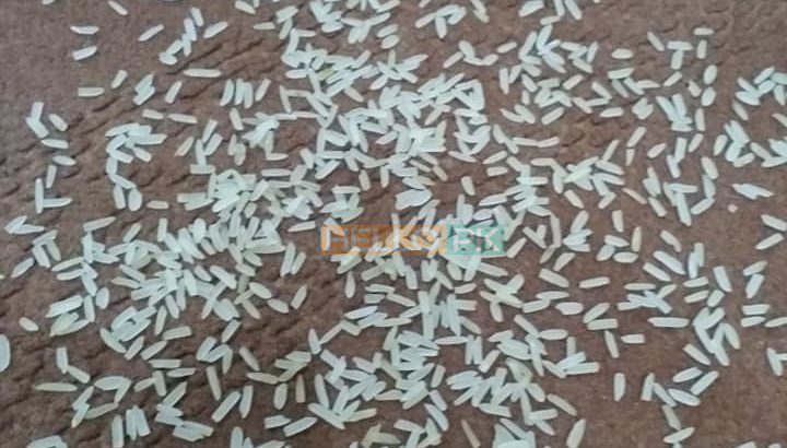 1121 sella ki short grain sortex vip 100% puer mal available