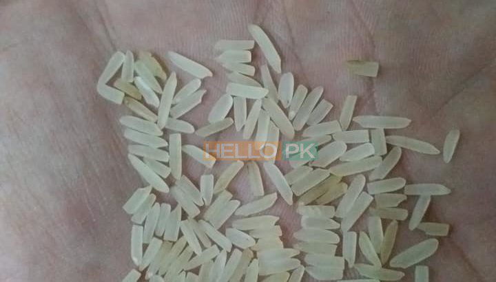 1121 sella ki short grain sortex vip 100% puer mal available