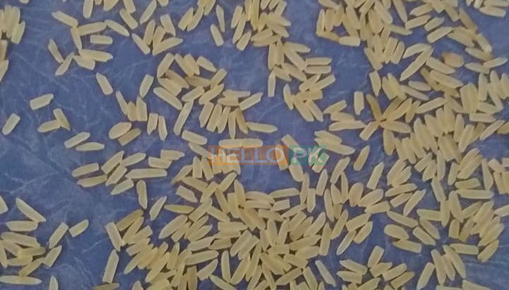 1121 sella ki short grain sortex vip 100% puer mal available