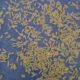 1121 sella ki short grain sortex vip 100% puer mal available