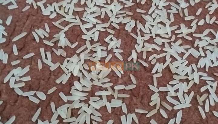 1121 sella ki short grain sortex vip 100% puer mal available